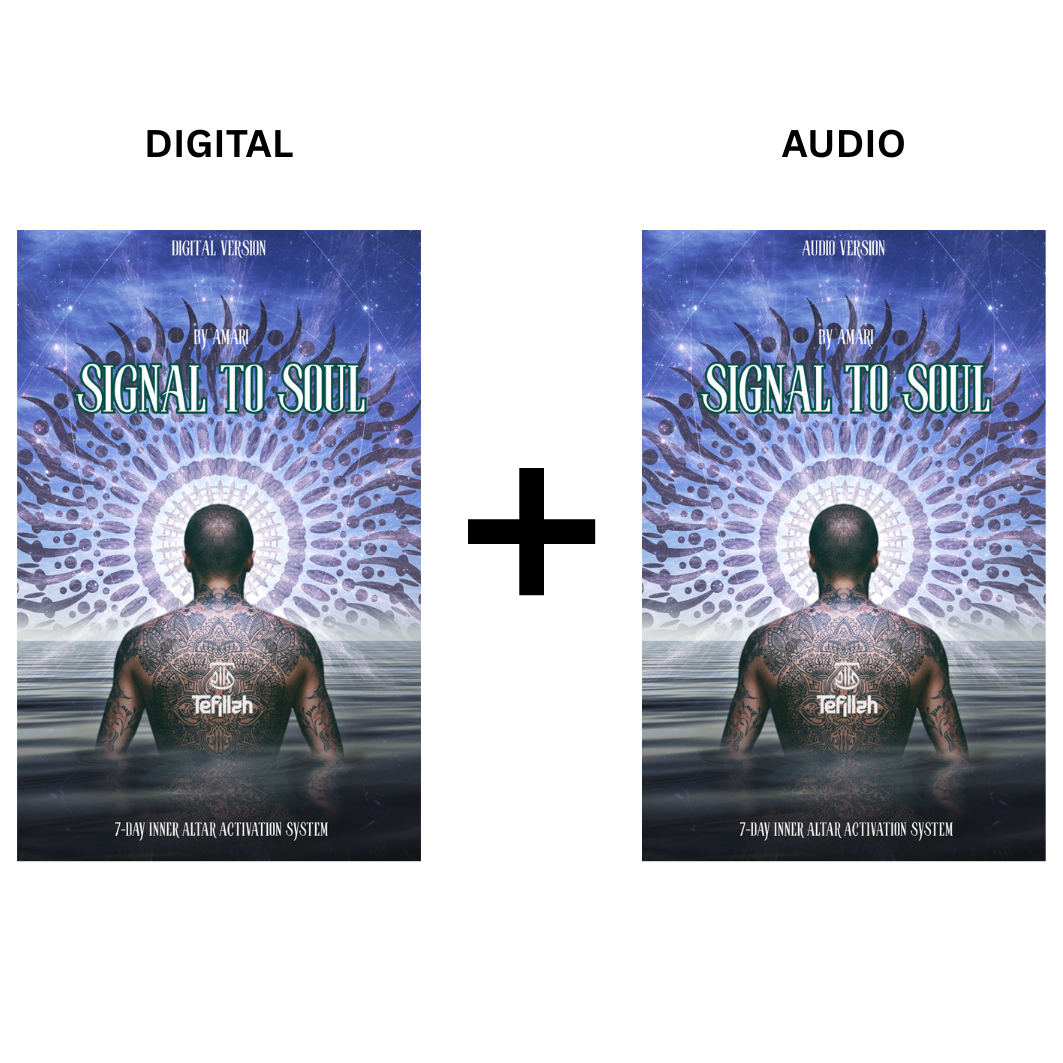 Signal To Soul Bundle (Audio+Digital)