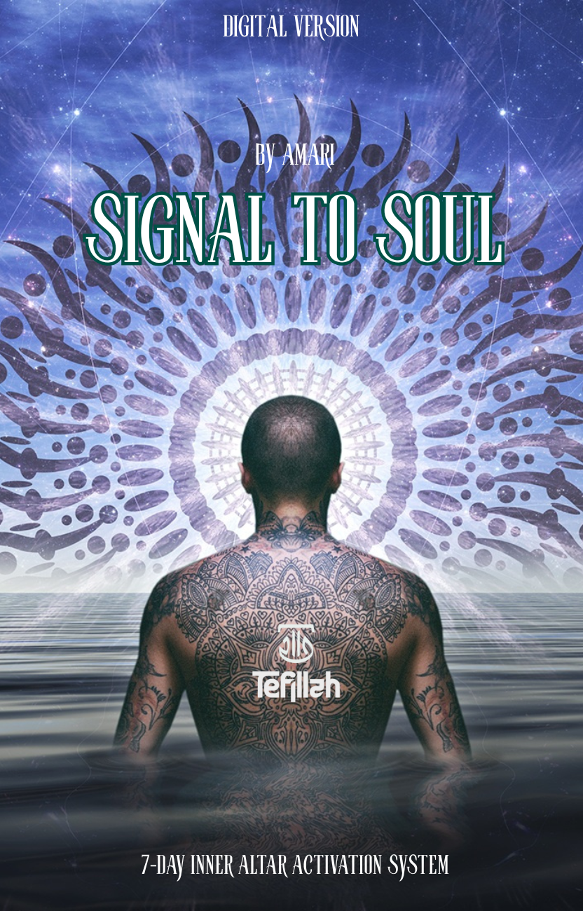 Signal To Soul (Digital)