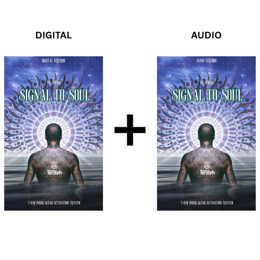 Signal To Soul Bundle (Audio+Digital)
